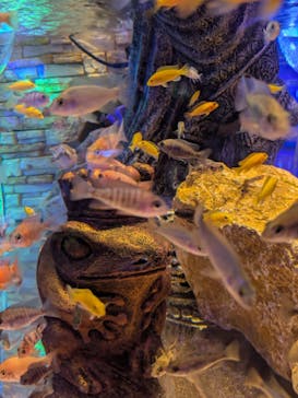 ひらかたパークに投稿された画像（2025/10/29）