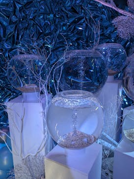 ひらかたパークに投稿された画像（2025/10/29）