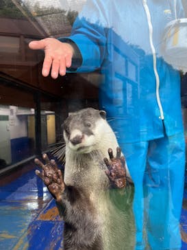 ゼロ距離水族館 伊勢シーパラダイスに投稿された画像（2025/10/29）