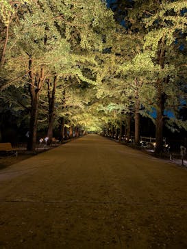 国営昭和記念公園 秋の夜散歩に投稿された画像（2025/10/29）