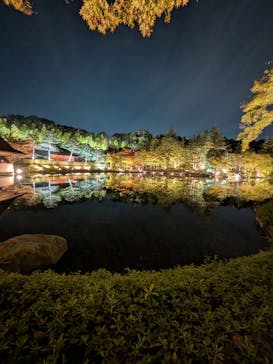 国営昭和記念公園 秋の夜散歩に投稿された画像（2025/10/29）