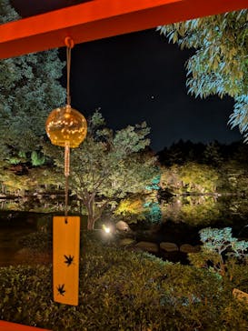 国営昭和記念公園 秋の夜散歩に投稿された画像（2025/10/29）