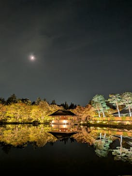 国営昭和記念公園 秋の夜散歩に投稿された画像（2025/10/29）
