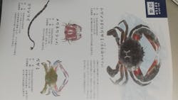 浜名湖体験学習施設ウォットに投稿された画像（2025/10/29）