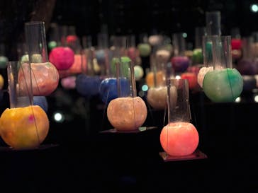 江の島シーキャンドルに投稿された画像（2025/10/29）