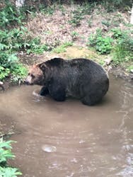 サホロリゾート　ベア･マウンテンに投稿された画像（2025/10/29）