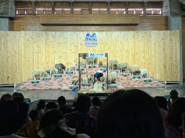 マザー牧場に投稿された画像（2025/10/29）