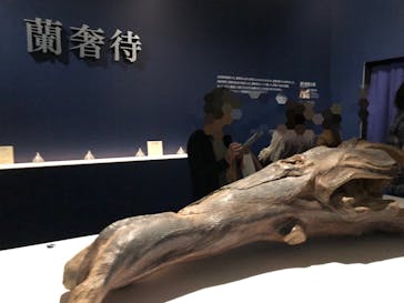 正倉院 THE SHOW ―感じる。いま、ここにある奇跡―　@上野の森美術館に投稿された画像（2025/10/29）