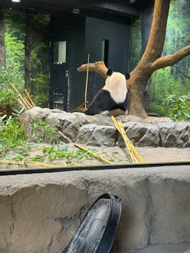 恩賜上野動物園に投稿された画像（2025/10/29）