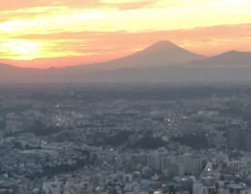 横浜ランドマークタワー 69階展望フロア スカイガーデンに投稿された画像（2025/10/29）