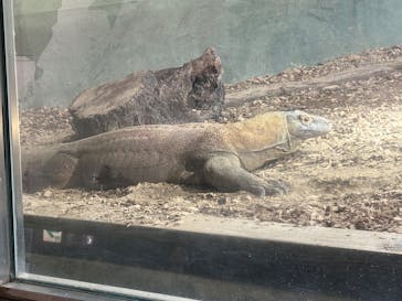 名古屋市東山動植物園に投稿された画像（2025/10/29）