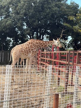 東武動物公園に投稿された画像（2025/10/29）