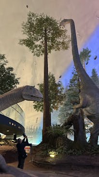 福井県立恐竜博物館に投稿された画像（2025/10/29）