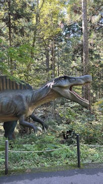 福井県立恐竜博物館に投稿された画像（2025/10/29）