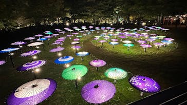 国営昭和記念公園 秋の夜散歩に投稿された画像（2025/10/29）