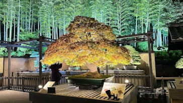 国営昭和記念公園 秋の夜散歩に投稿された画像（2025/10/29）