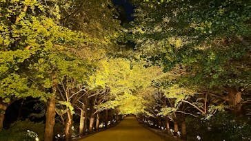 国営昭和記念公園 秋の夜散歩に投稿された画像（2025/10/29）