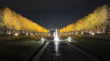 国営昭和記念公園 秋の夜散歩に投稿された画像（2025/10/29）