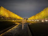 国営昭和記念公園 秋の夜散歩に投稿された画像（2025/10/30）
