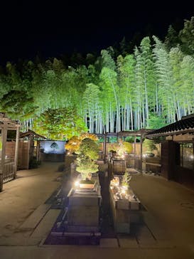 国営昭和記念公園 秋の夜散歩に投稿された画像（2025/10/30）