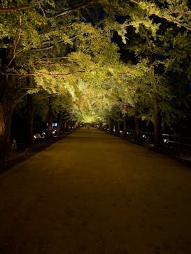 国営昭和記念公園 秋の夜散歩に投稿された画像（2025/10/30）