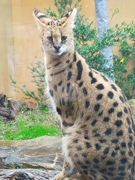 那須どうぶつ王国に投稿された画像（2025/10/30）