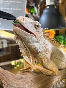 NARA IKIMONO MUSEUMに投稿された画像（2025/10/30）