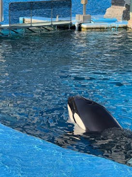 名古屋港水族館に投稿された画像（2025/10/30）