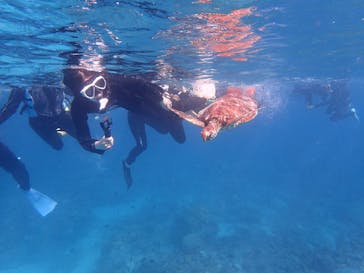 ジョイクリエイト沖縄ティーダに投稿された画像（2025/10/30）