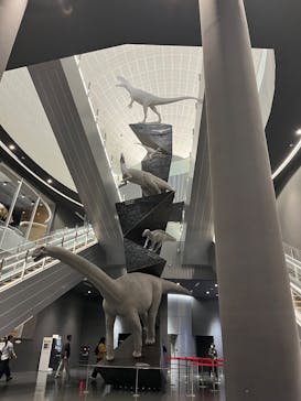福井県立恐竜博物館に投稿された画像（2025/10/30）