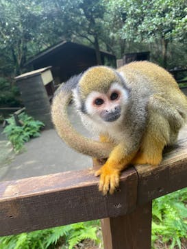 長崎バイオパークに投稿された画像（2025/10/30）