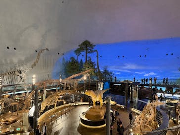 福井県立恐竜博物館に投稿された画像（2025/10/30）