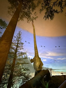 福井県立恐竜博物館に投稿された画像（2025/10/30）