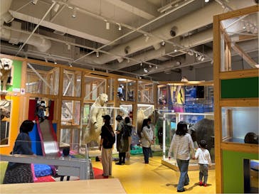 国立科学博物館に投稿された画像（2025/10/30）