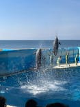 新江ノ島水族館に投稿された画像（2025/10/30）