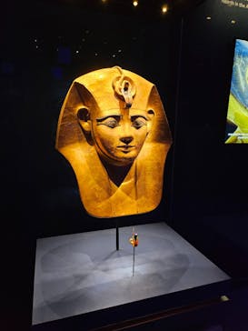 ACN ラムセス大王展 ファラオたちの黄金に投稿された画像（2025/10/30）