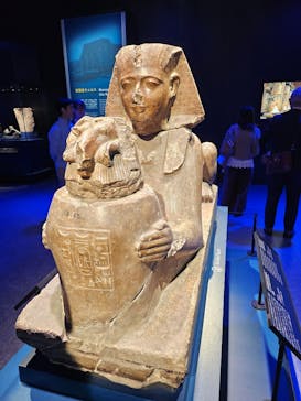 ACN ラムセス大王展 ファラオたちの黄金に投稿された画像（2025/10/30）