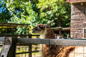 野外民族博物館 リトルワールドに投稿された画像（2025/10/30）