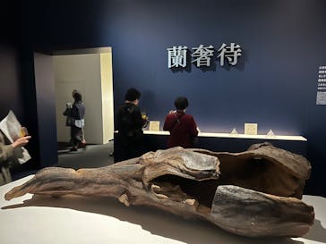 正倉院 THE SHOW ―感じる。いま、ここにある奇跡―　@上野の森美術館に投稿された画像（2025/10/30）