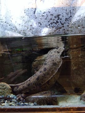 名古屋市東山動植物園に投稿された画像（2025/10/30）