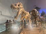 福井県立恐竜博物館に投稿された画像（2025/10/30）