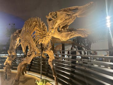 福井県立恐竜博物館に投稿された画像（2025/10/30）