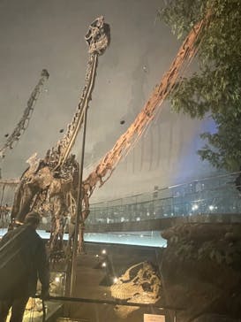 福井県立恐竜博物館に投稿された画像（2025/10/30）