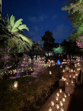 江の島シーキャンドルに投稿された画像（2025/10/30）