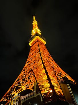 東京タワーに投稿された画像（2025/10/30）