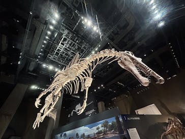 福井県立恐竜博物館に投稿された画像（2025/10/30）