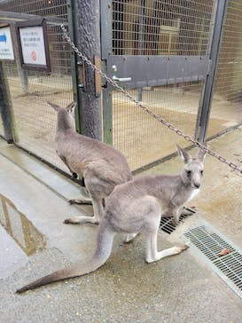 こども動物自然公園（埼玉県公園緑地協会）に投稿された画像（2025/10/30）