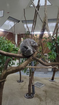 こども動物自然公園（埼玉県公園緑地協会）に投稿された画像（2025/10/30）