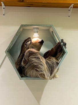 アニタッチ 東京ドームシティに投稿された画像（2025/10/31）