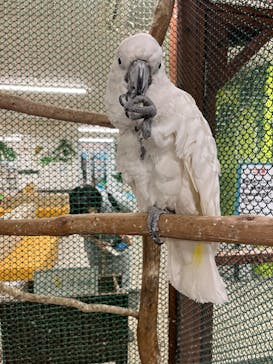 アニタッチ 東京ドームシティに投稿された画像（2025/10/31）